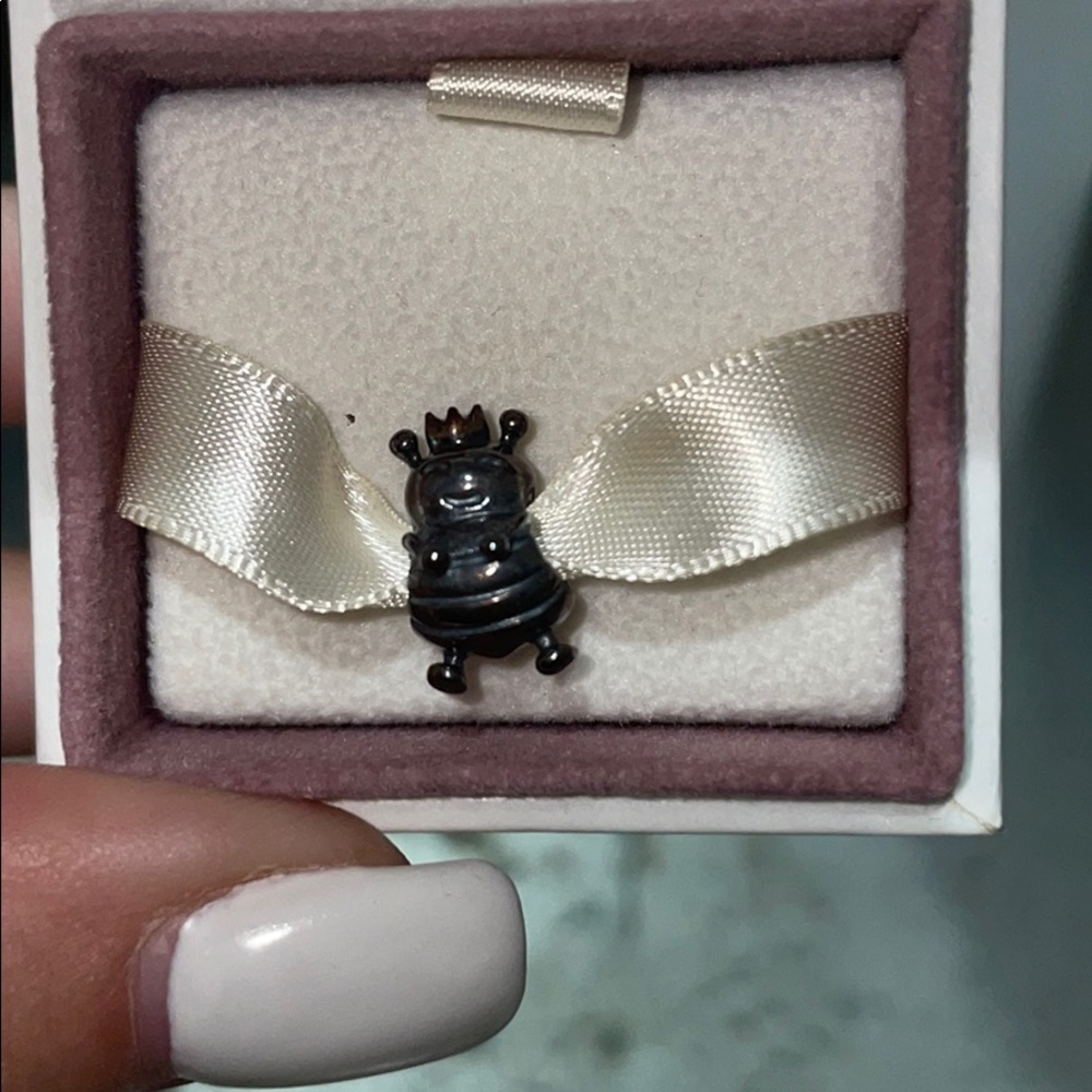 Pandora Charm